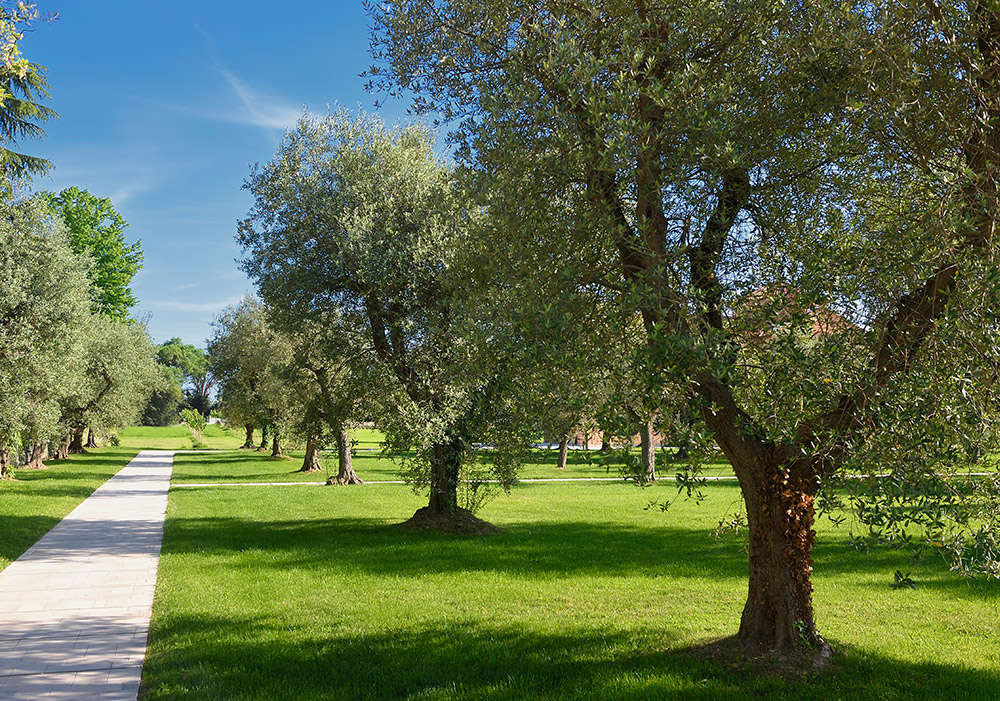 JW Marriott Olive Grove