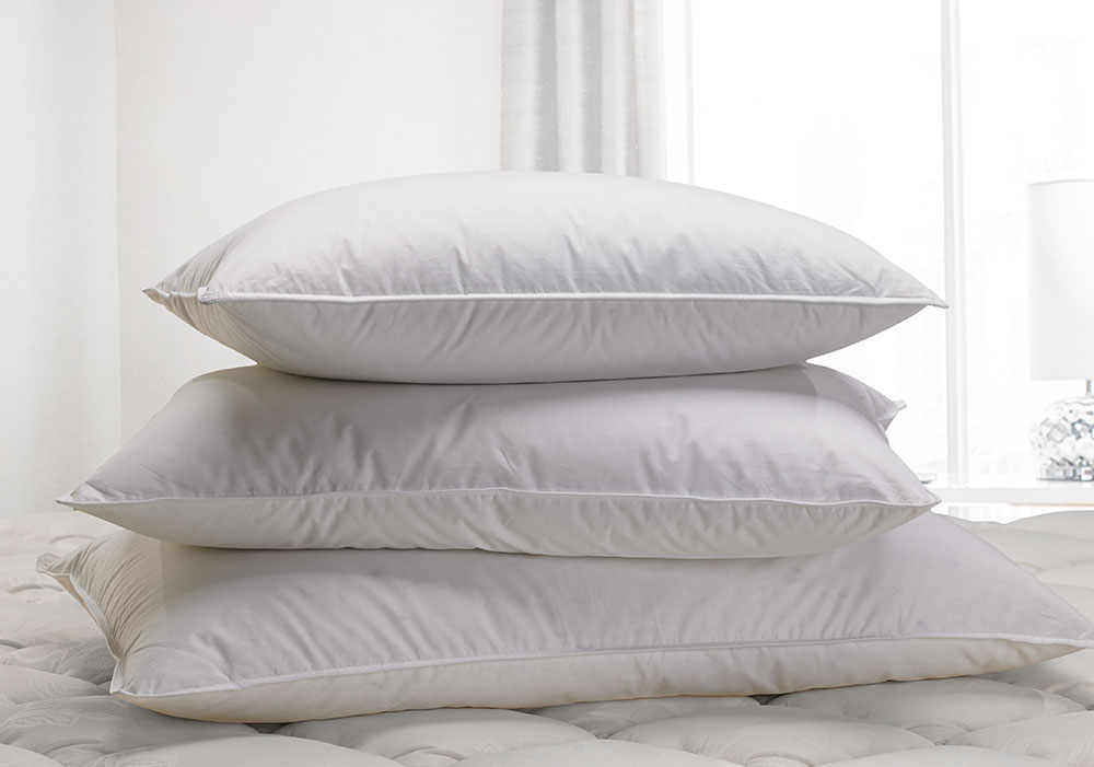 Collect Renaissance Down Pillows