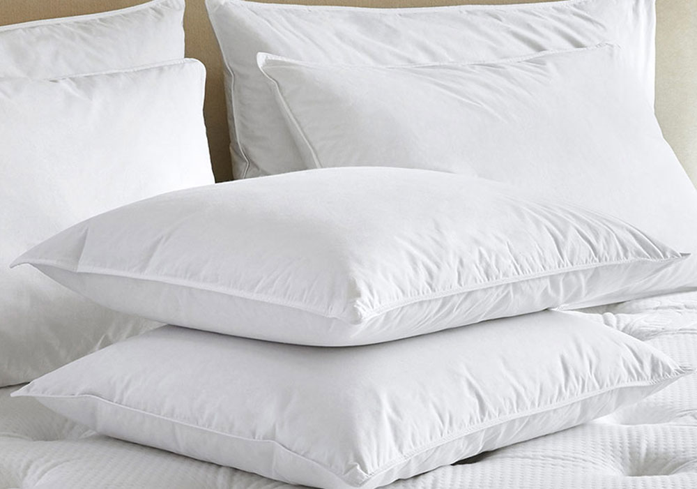 The Renaissance Pillow